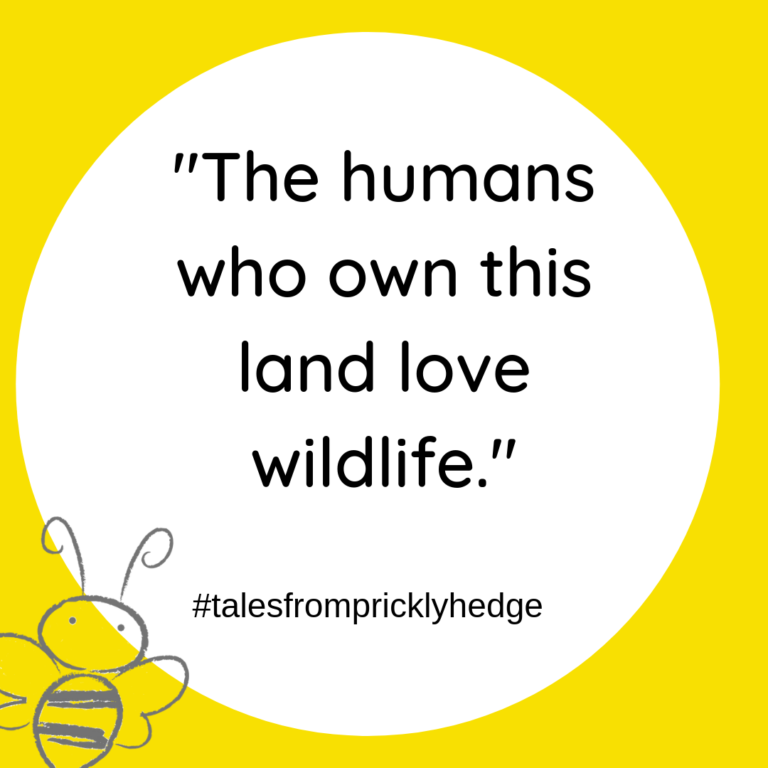 ? ? ? BOOK QUOTES "The humans who own this land love wildlife." Who says this? #pricklyhedge #bookquotes #savewildlife