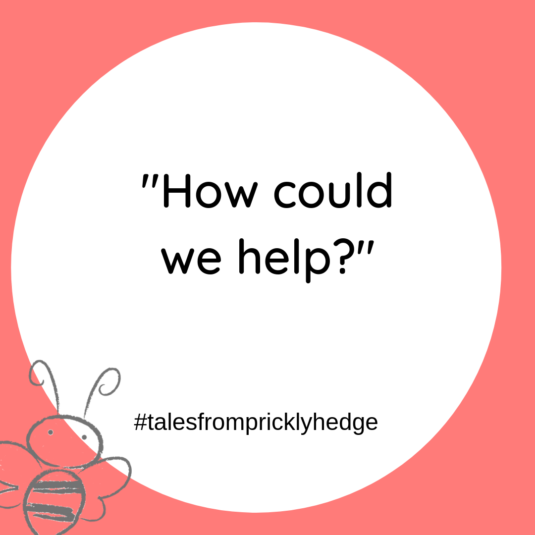BOOK QUOTES "How could we help?" What can you do today that helps wildlife? #pricklyhedge #bookquotes #savewildlife
