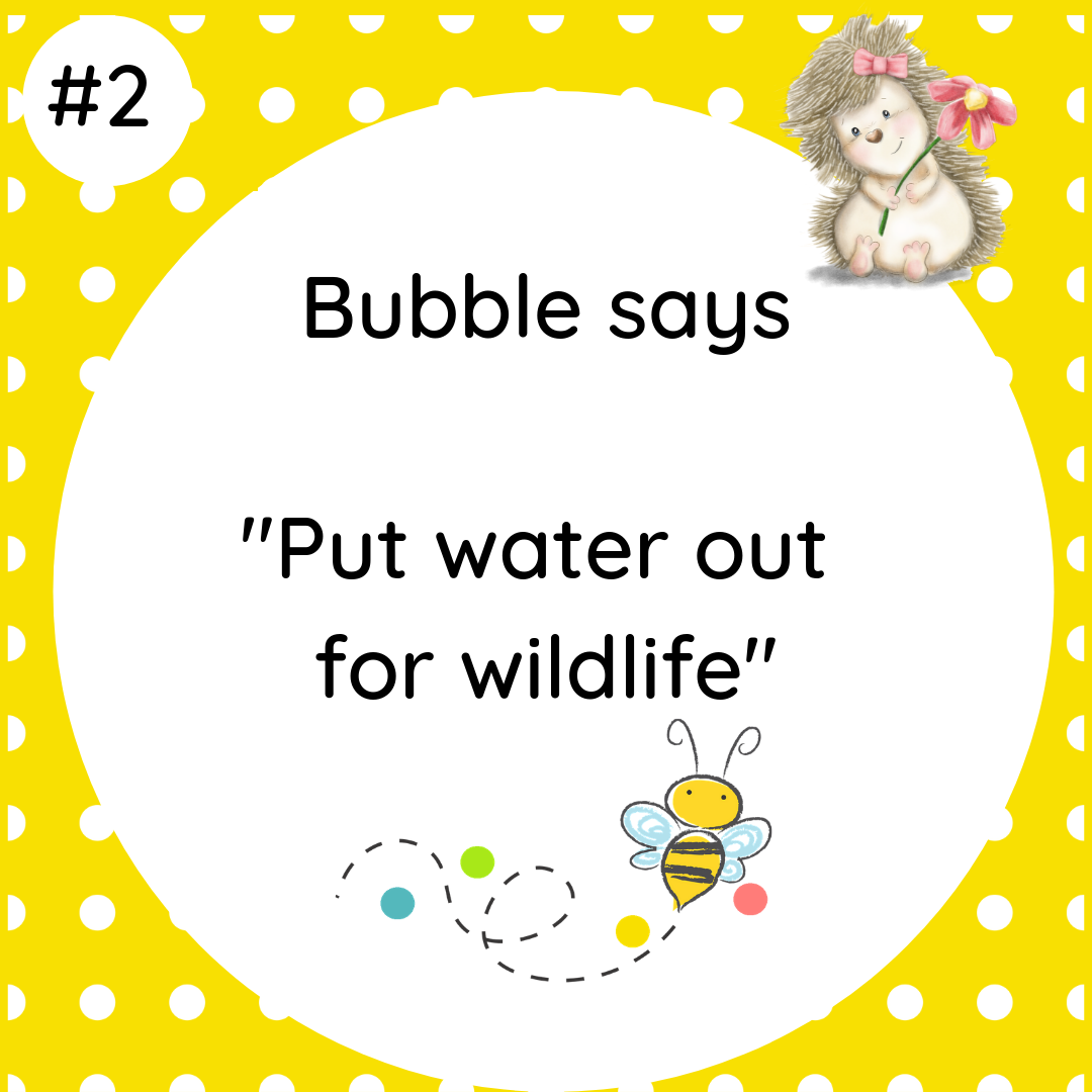 Bubble says Put water out for wildlife #wildlifetip2