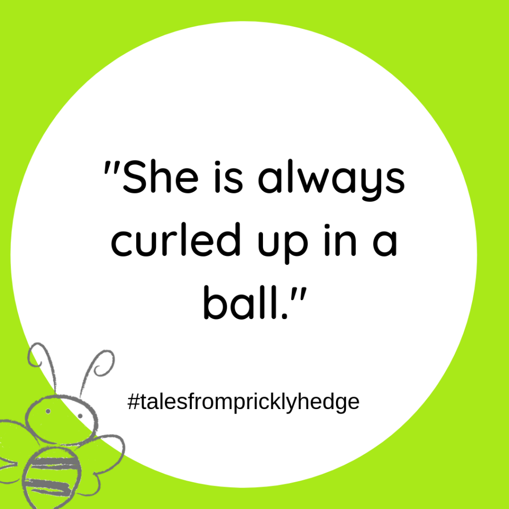 ? ? ? BOOK QUOTES "She is always curled up in a ball." I wonder who is always curled up in a ball? Do you know? #pricklyhedge #bookquotes #savewildlife