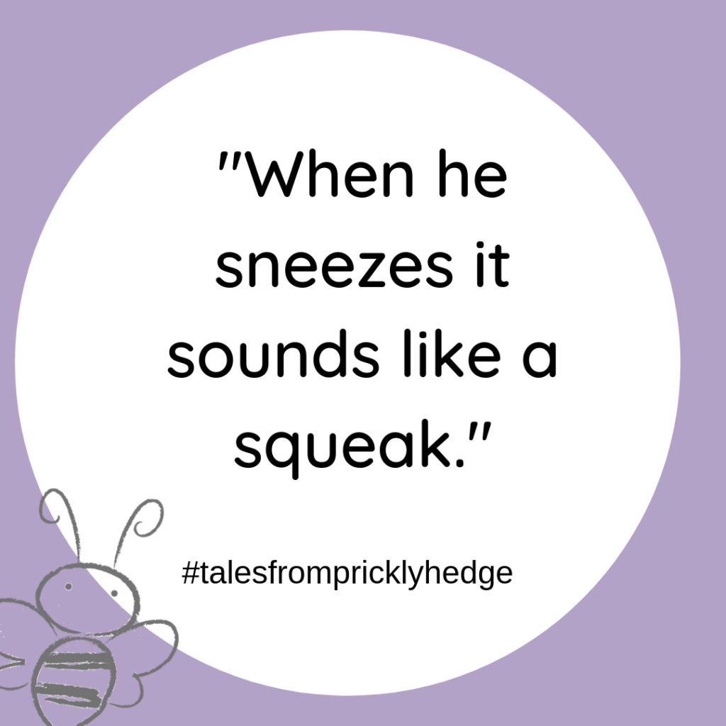 ? ? ? BOOK QUOTES "When he sneezes it sounds like a squeak." Do you know whose sneeze sounds like a squeak? #pricklyhedge #bookquotes #savewildlife