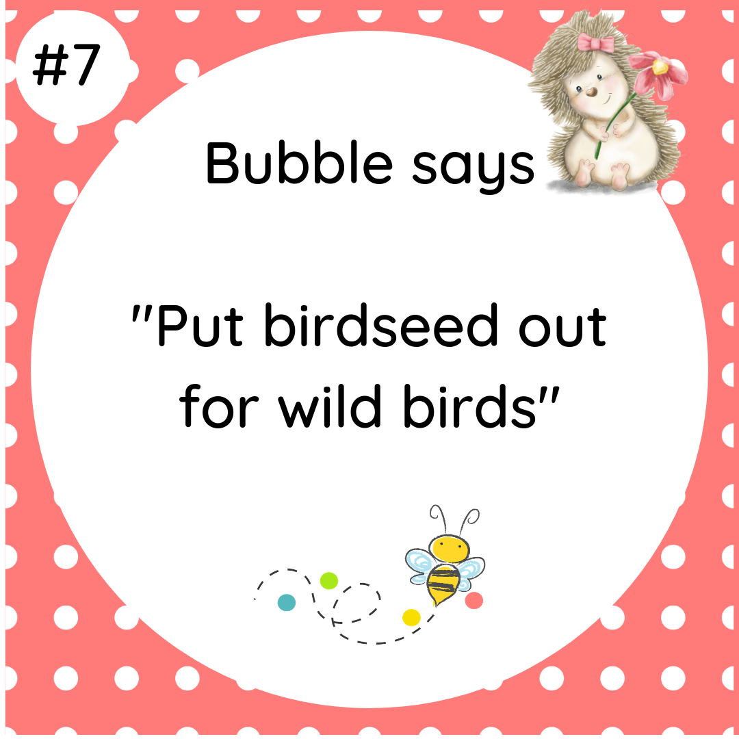 Bubble says Put birdseed out for wild birds #wildlifetip7