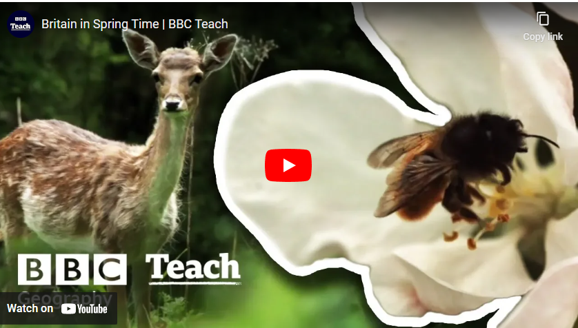 youtube art, fawn and bee in flower