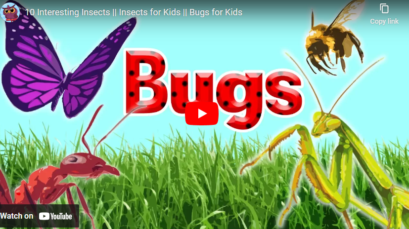 youtube art, cartoon bugs on grass, insects, bee and butterfly