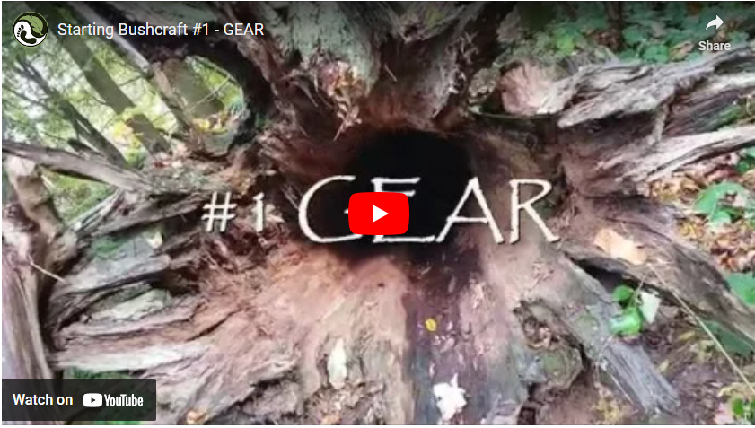 youtube art, close up of wood in forest