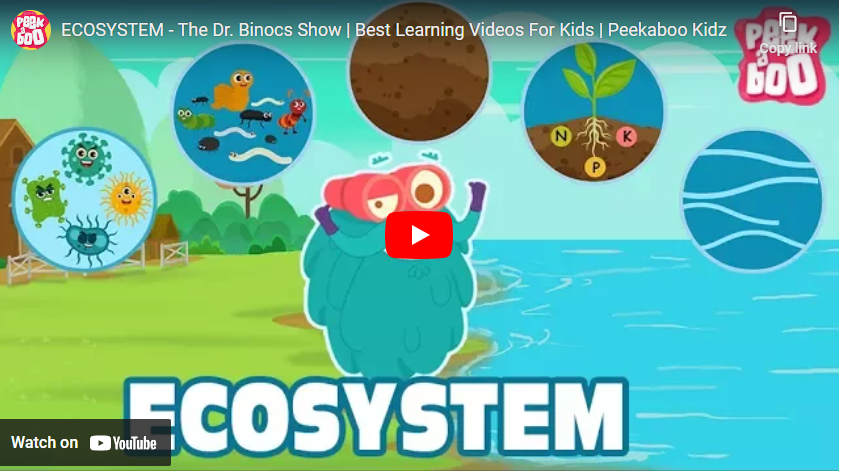 youtube art dr binocs cartoon art