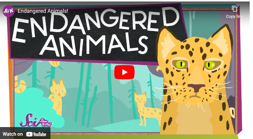youtube art, cartoon animal