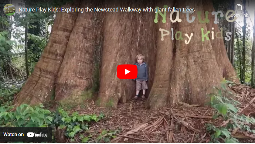 youtube art, young boy standing at foot of huge tree