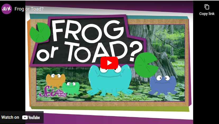 youtube art frog or toad