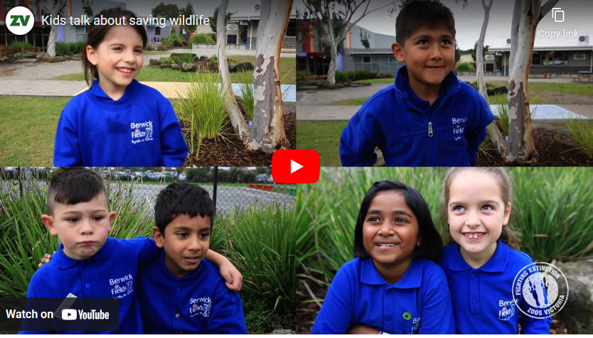 youtube art, 8 children in 4 groups talk about how they save wildlife