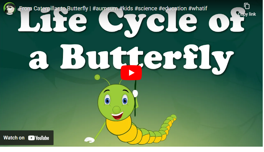 youtube art cartoon caterpillar