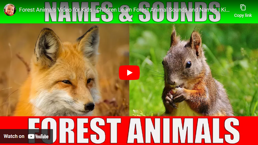 youtube art, photos of fox and squirrel