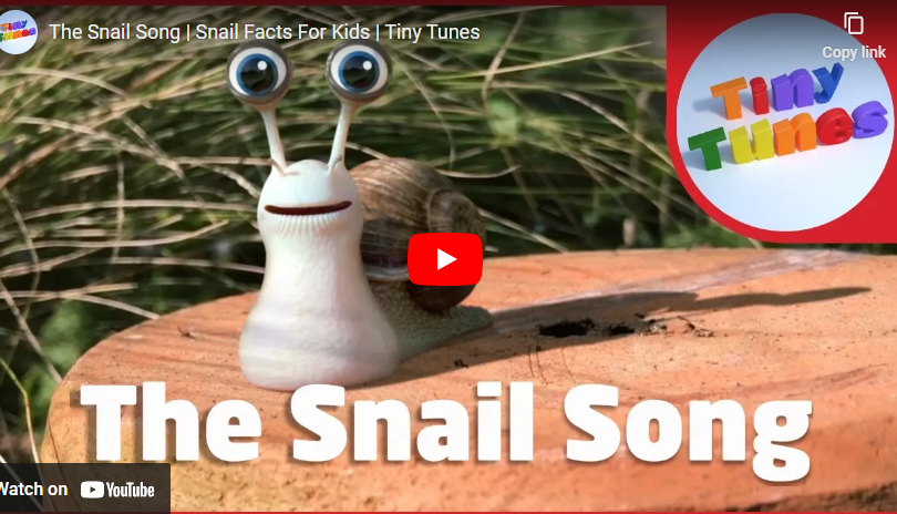 youtube art cartoon snail with huge eyes