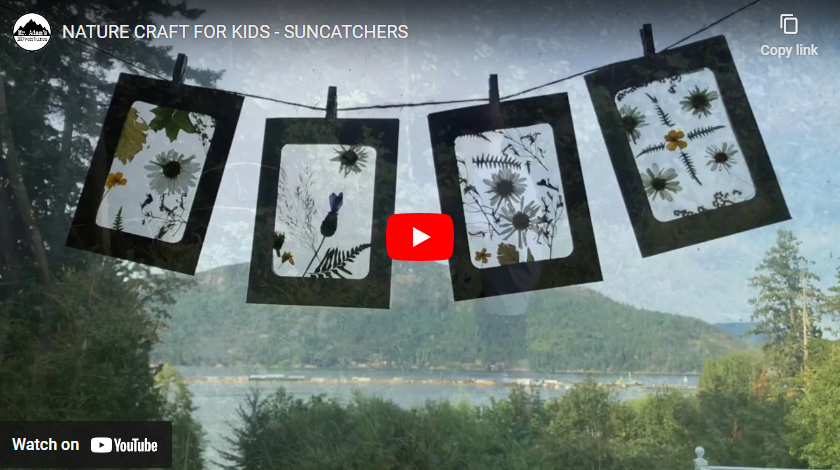 youtube art, 4 suncatcher pictures hanging on line