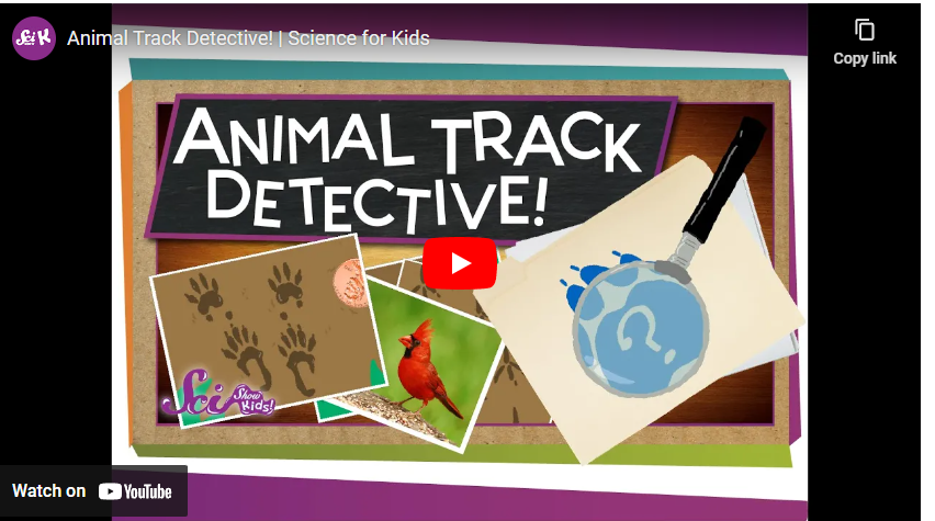 youtube art, magnifying glass and animals pictures