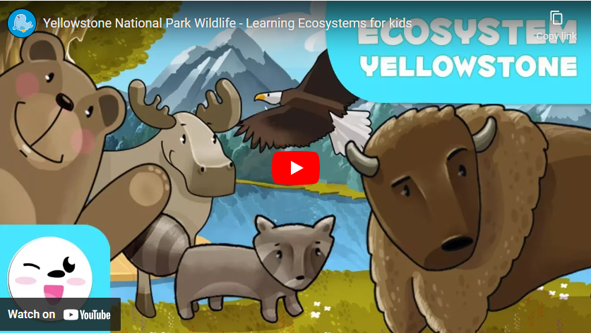 youtube art, cartoon of yellowstone park with American wildlife